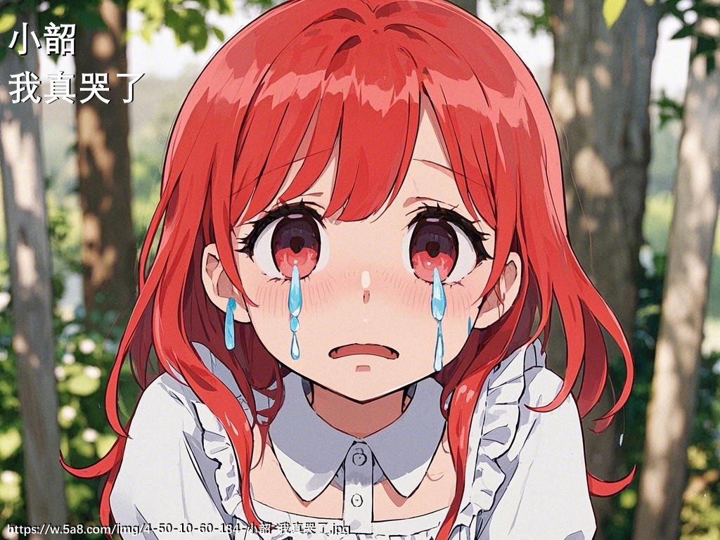 小韶我真哭了搞笑图片