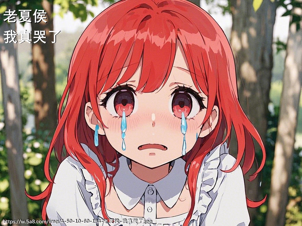 老夏侯我真哭了搞笑图片