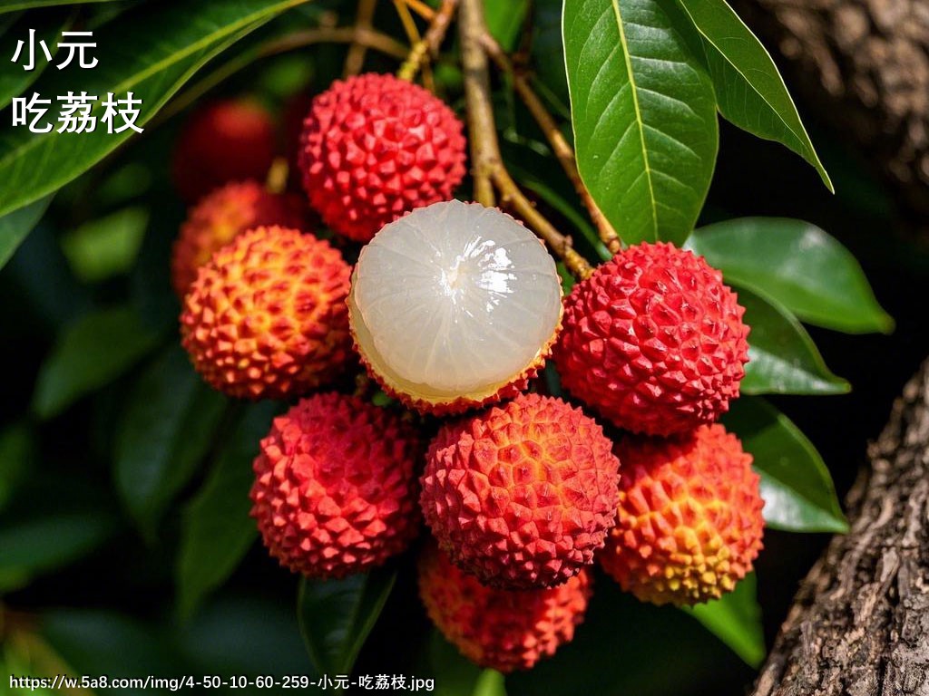 小元吃荔枝搞笑图片