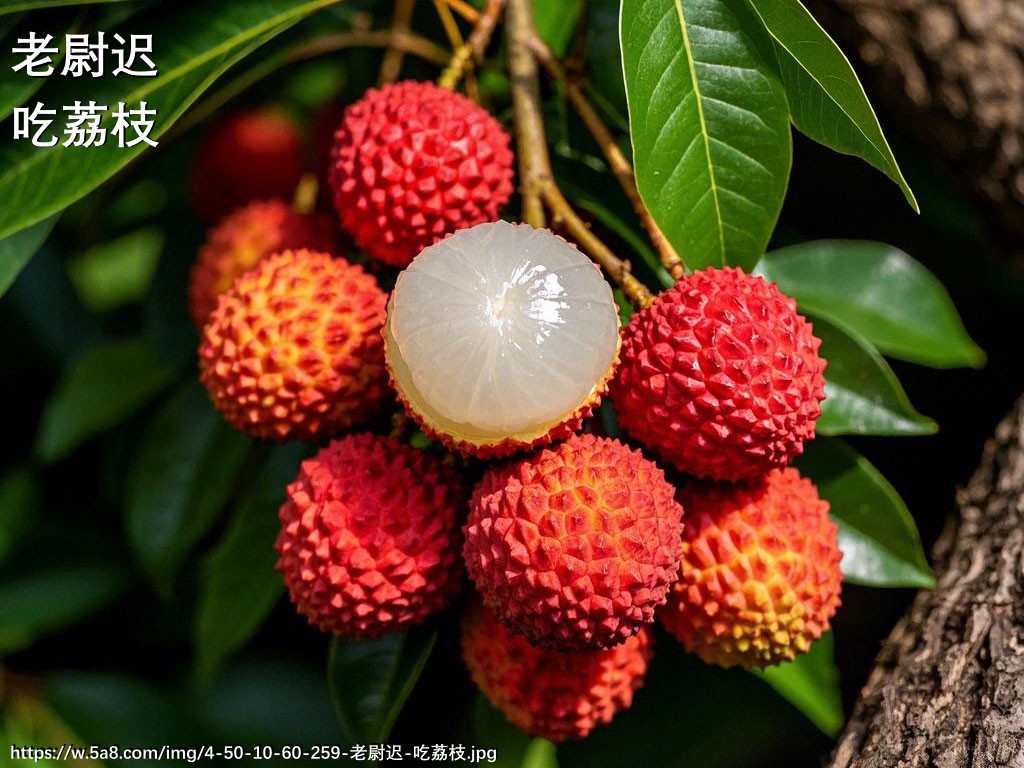 老尉迟吃荔枝搞笑图片