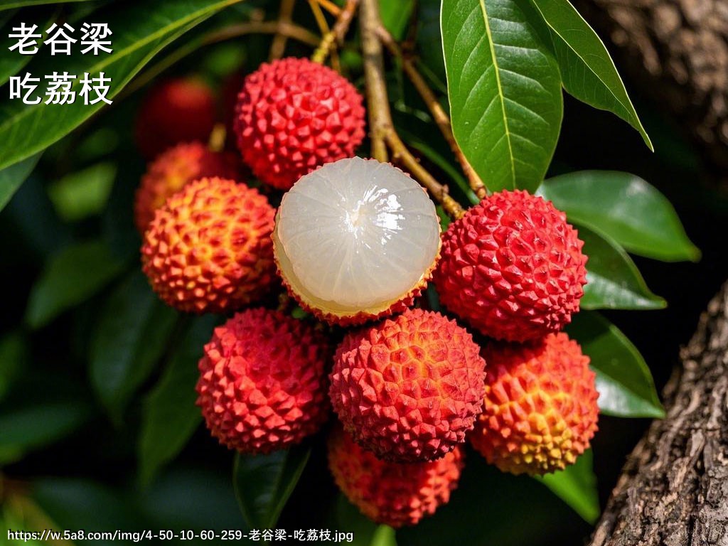 老谷梁吃荔枝搞笑图片