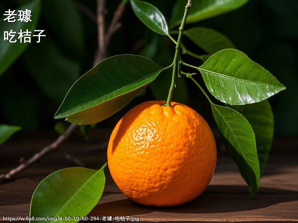 老璩吃桔子搞笑图片