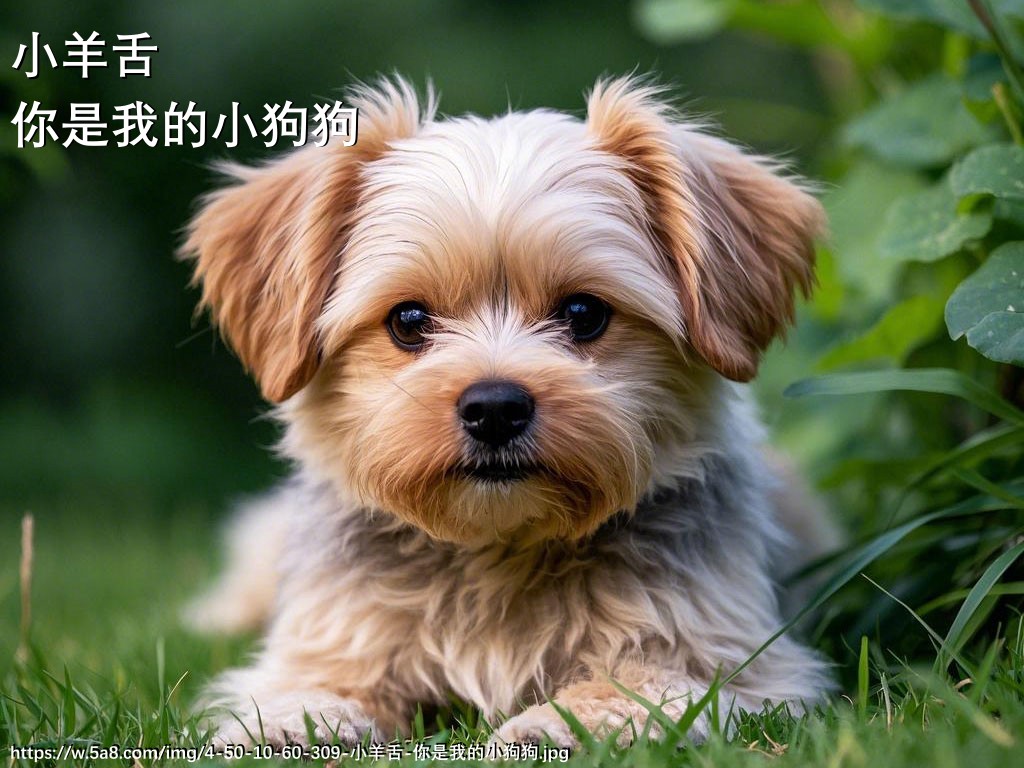 小羊舌你是我的小狗狗搞笑图片