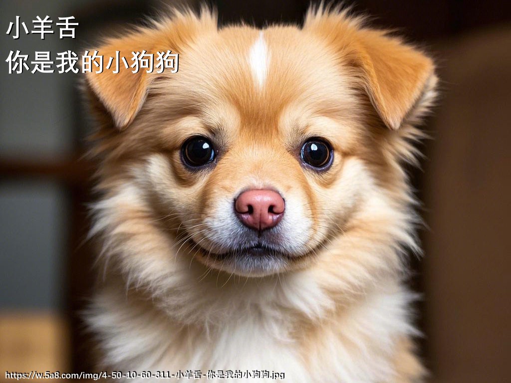 小羊舌你是我的小狗狗搞笑图片