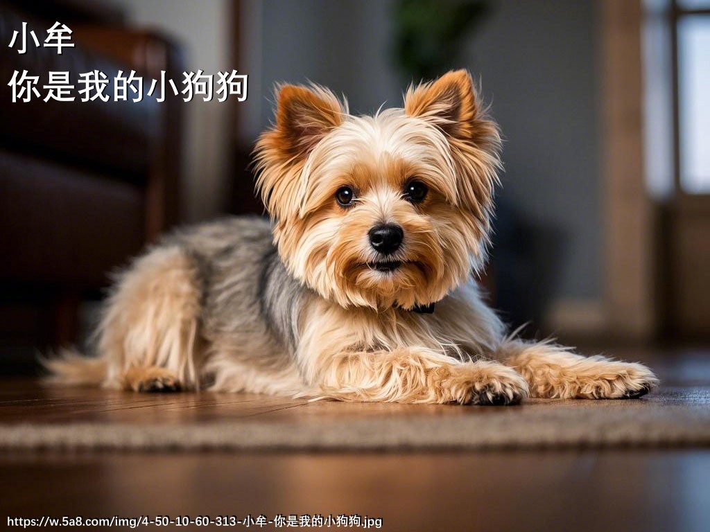 小牟你是我的小狗狗搞笑图片