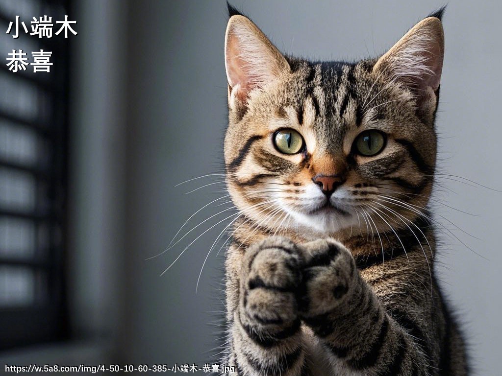 小端木恭喜搞笑图片