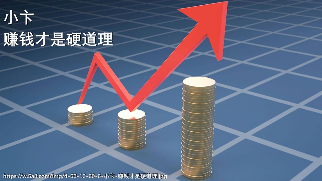 小卞赚钱才是硬道理搞笑图片