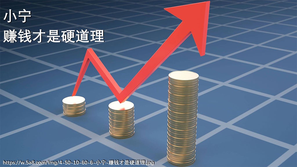 小宁赚钱才是硬道理搞笑图片