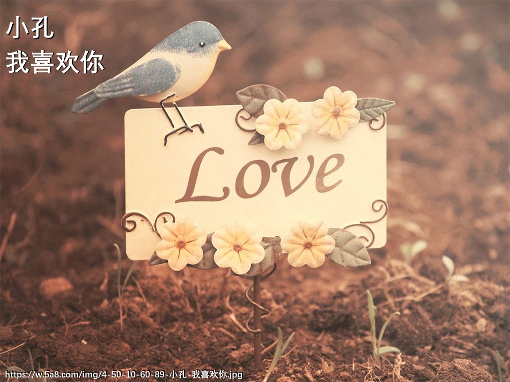 小孔我喜欢你搞笑图片