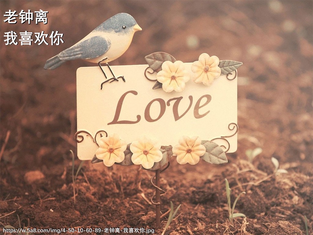 老钟离我喜欢你搞笑图片