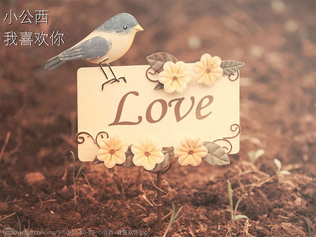 小公西我喜欢你搞笑图片