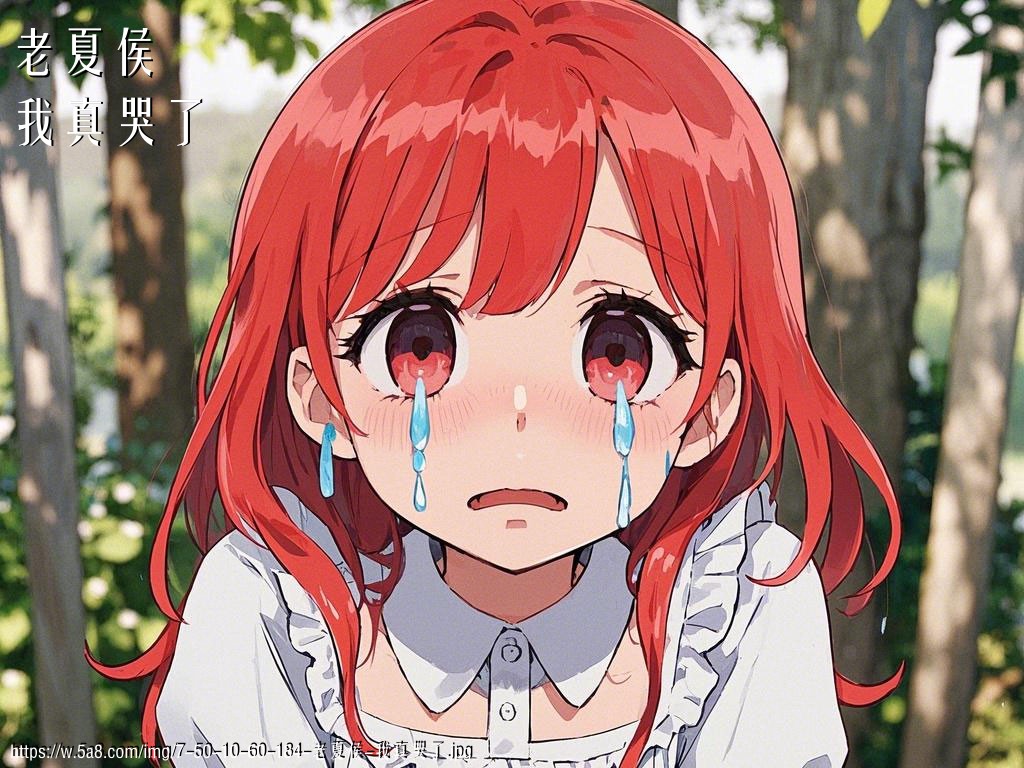 老夏侯我真哭了搞笑图片