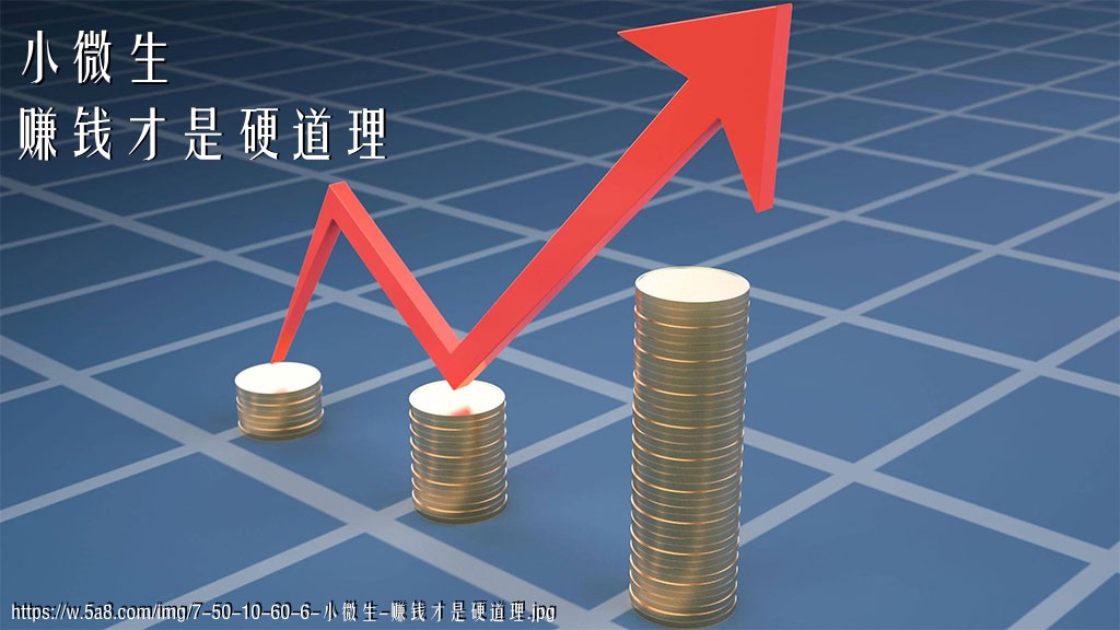 小微生赚钱才是硬道理搞笑图片
