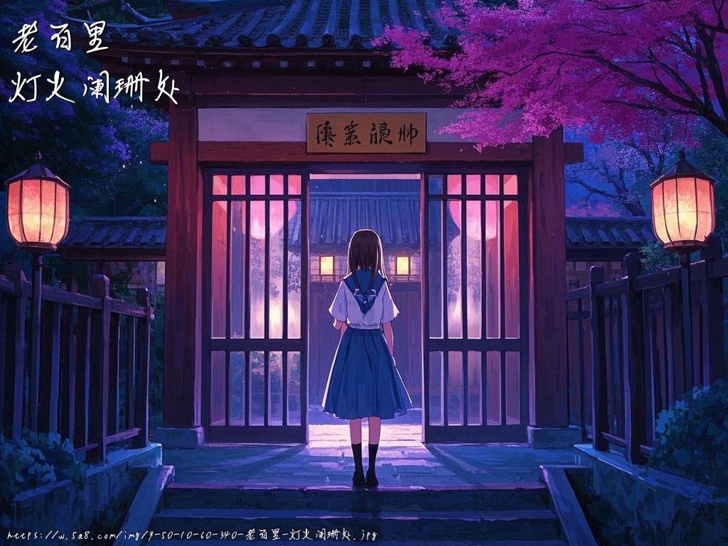 老百里灯火阑珊处搞笑图片