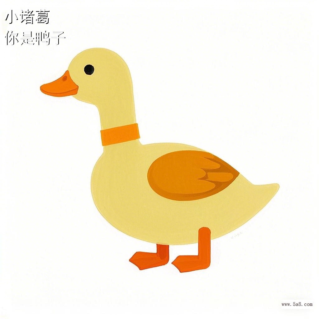 你是鸭子小诸葛搞笑图片