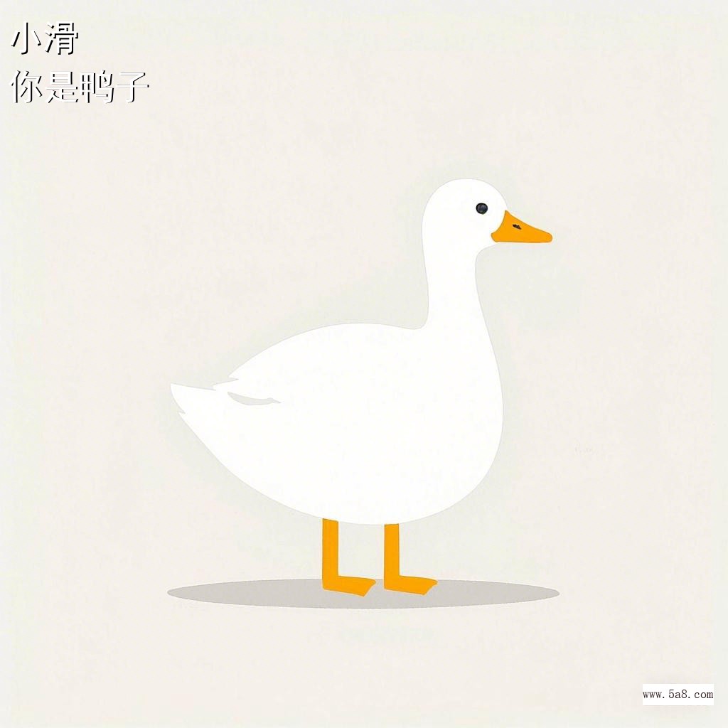 你是鸭子小滑搞笑图片