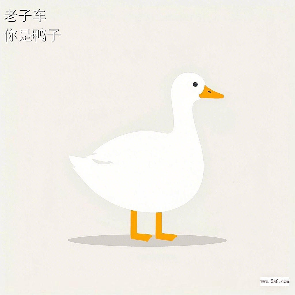 你是鸭子老子车搞笑图片