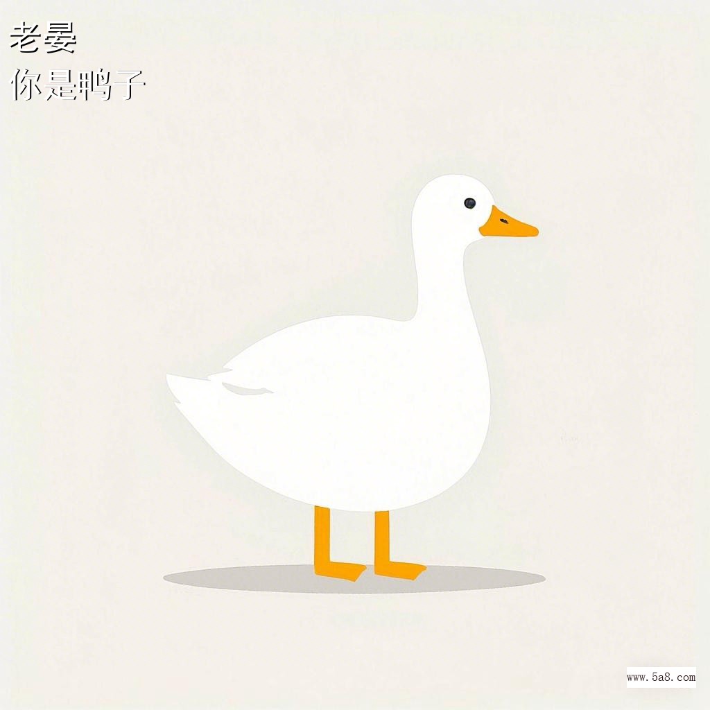 你是鸭子老晏搞笑图片