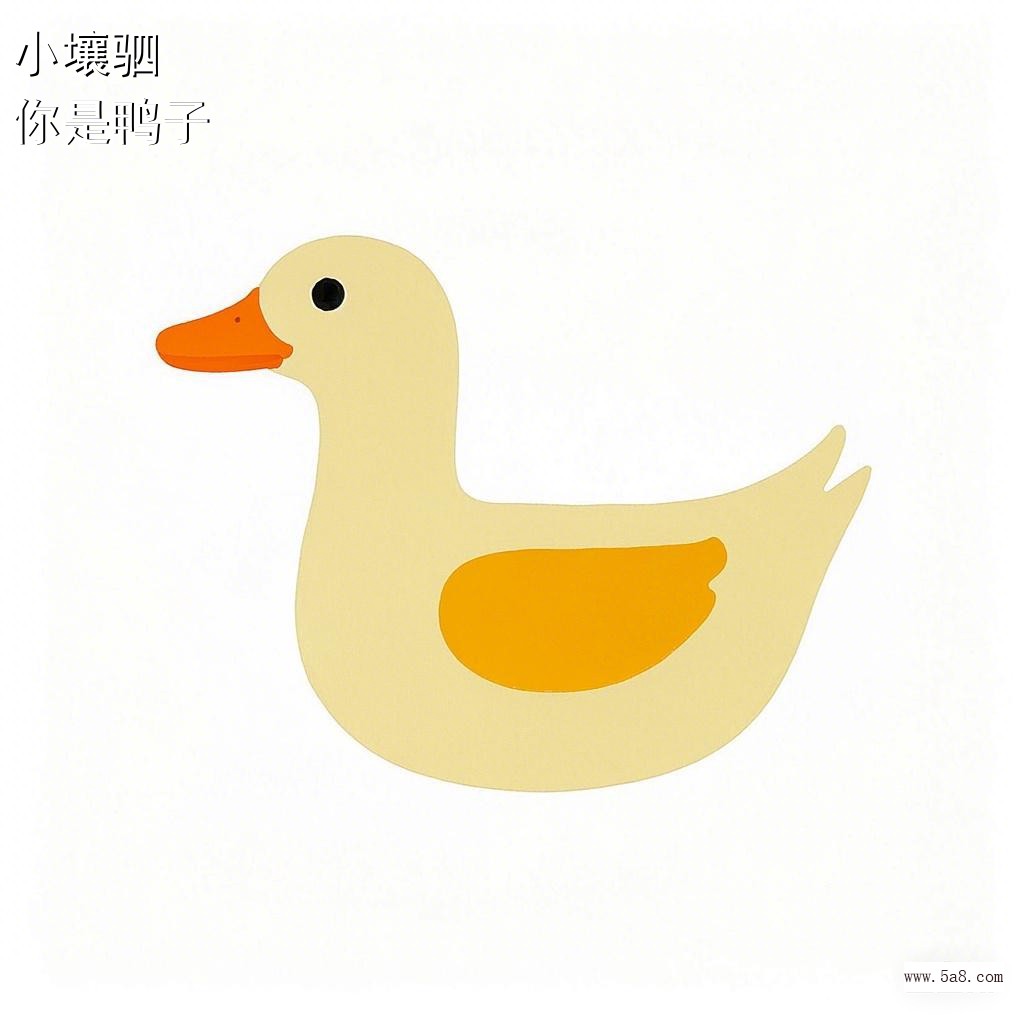 你是鸭子小壤驷搞笑图片