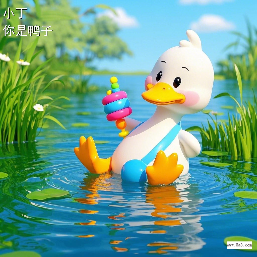 你是鸭子小丁搞笑图片
