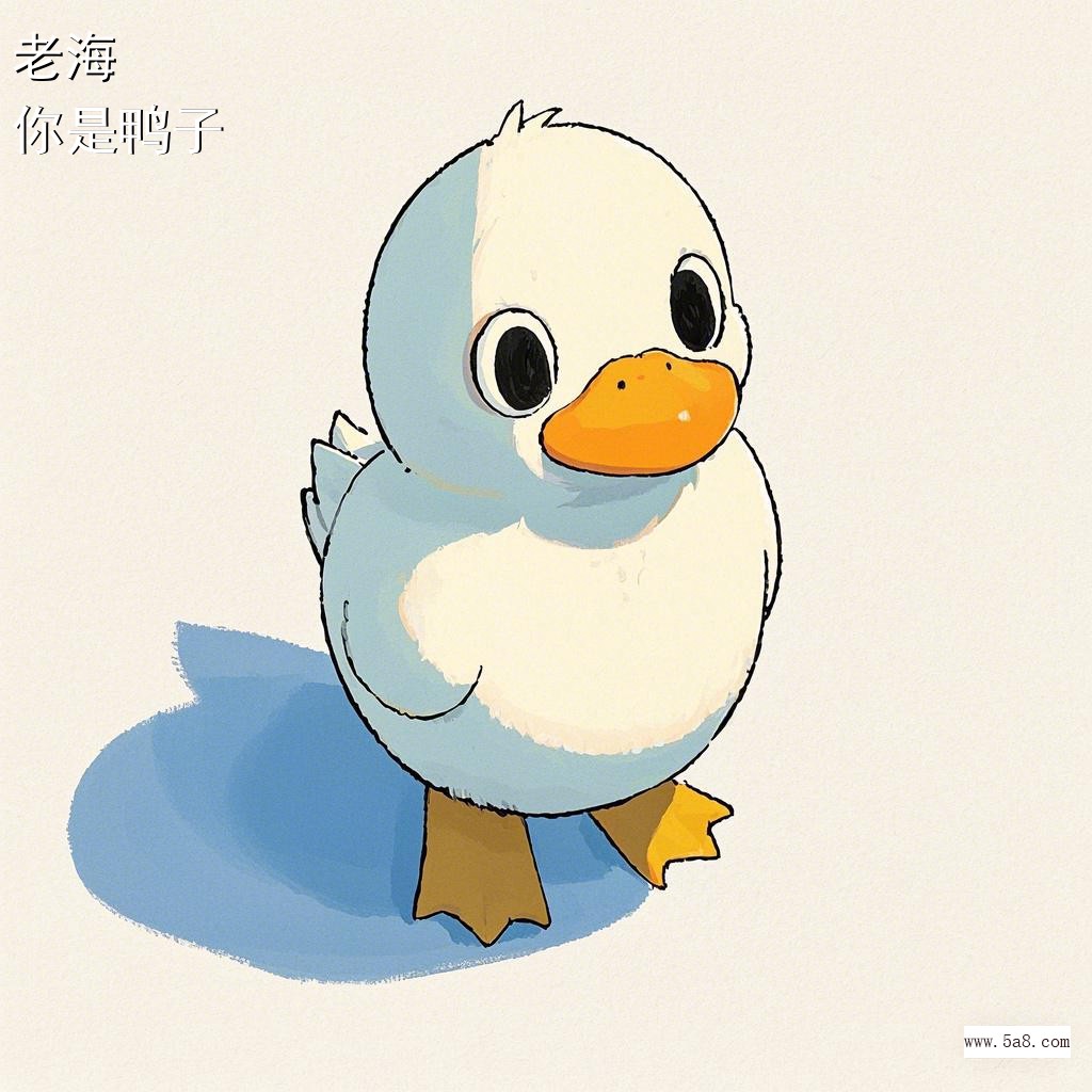 你是鸭子老海搞笑图片