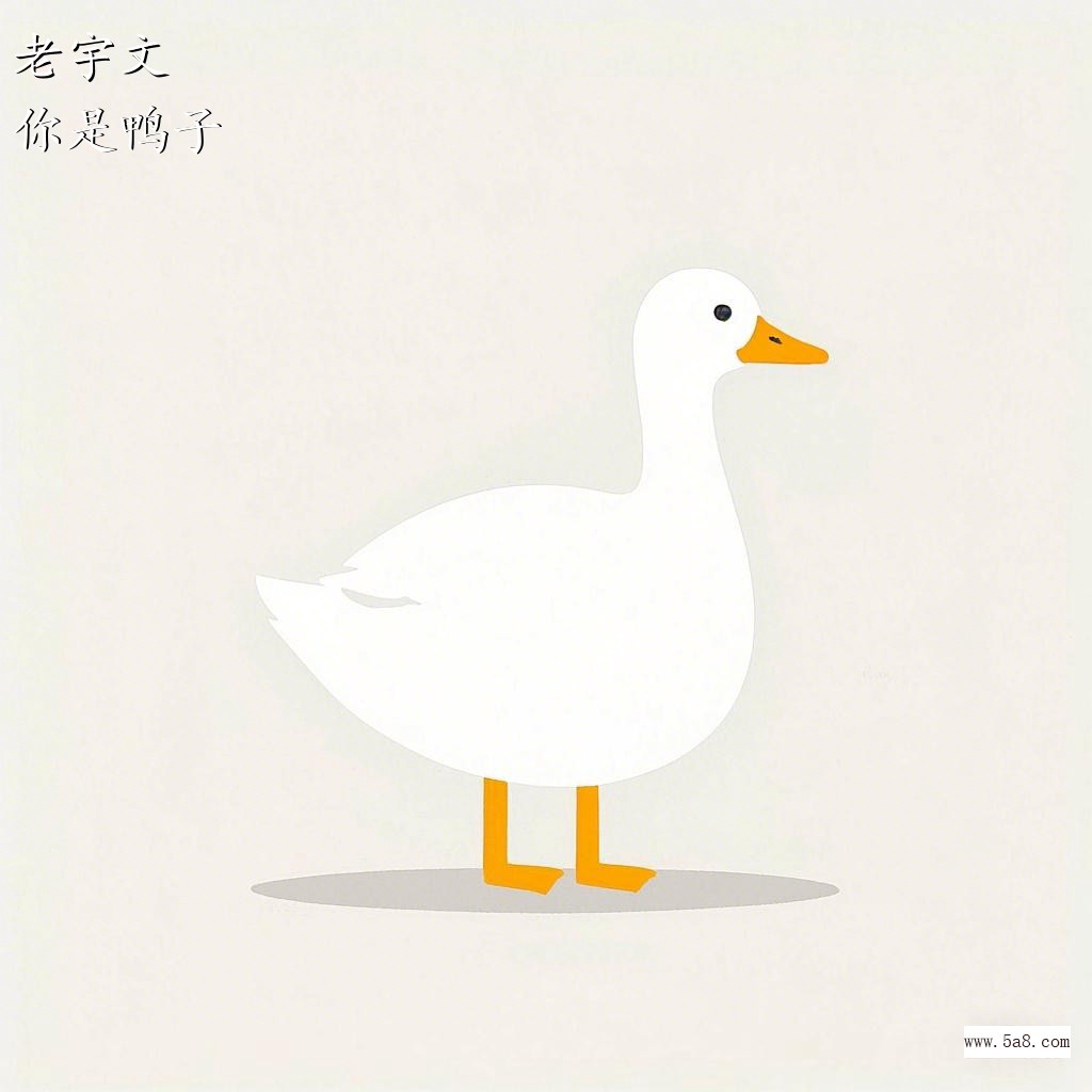 你是鸭子老宇文搞笑图片