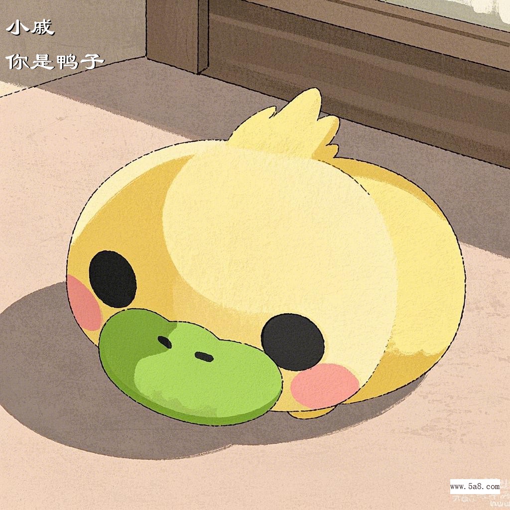 你是鸭子小戚搞笑图片