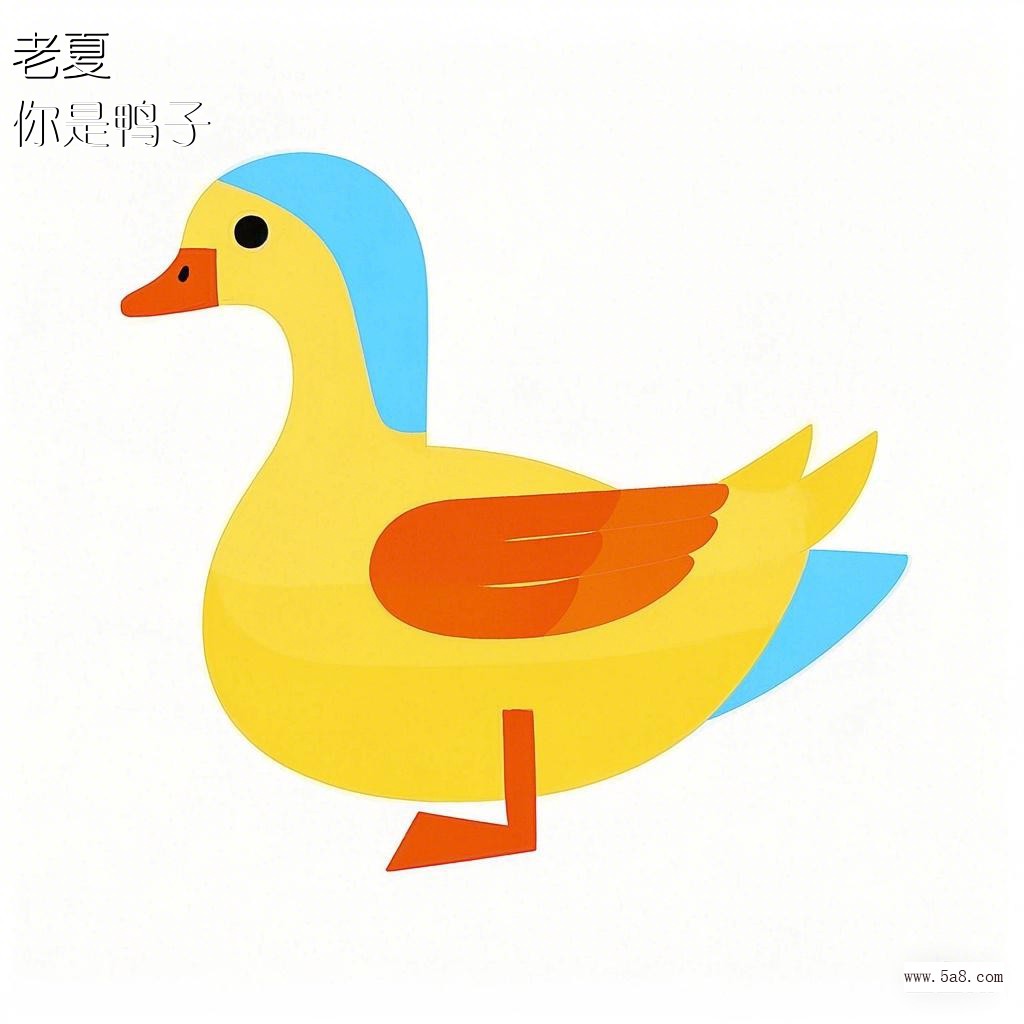 你是鸭子老夏搞笑图片