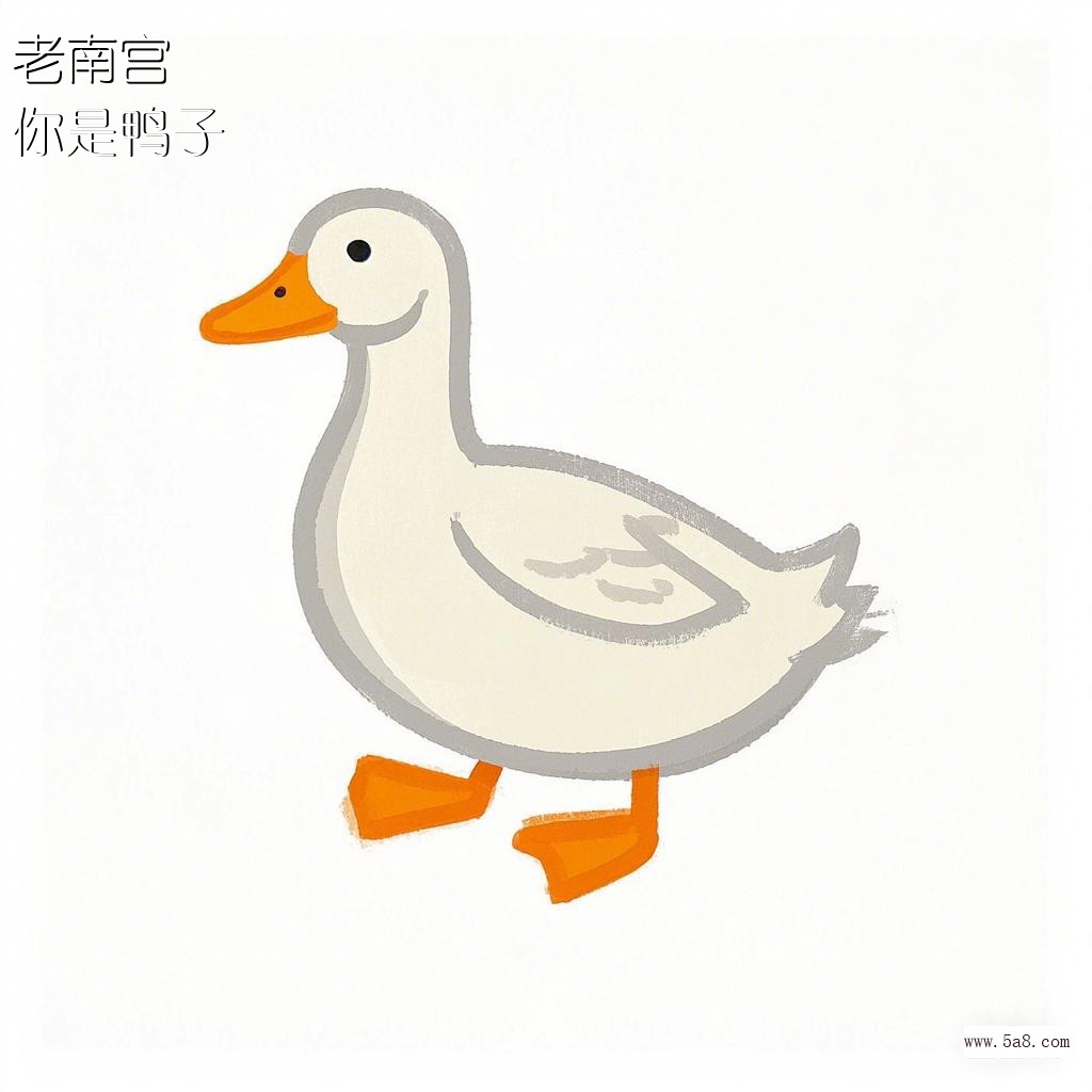 你是鸭子老南宫搞笑图片