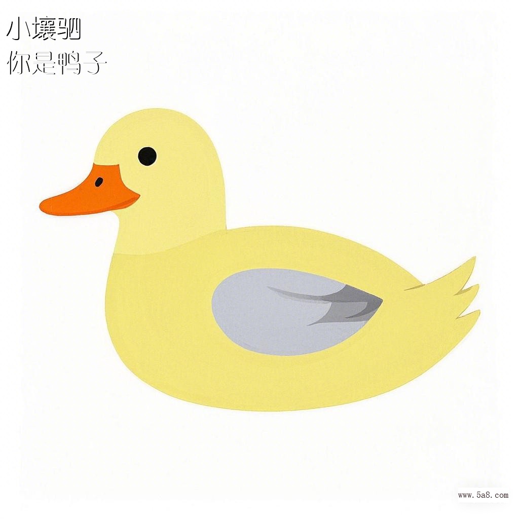 你是鸭子小壤驷搞笑图片