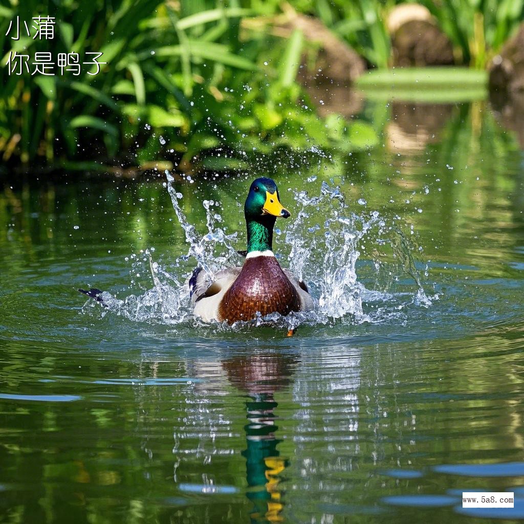你是鸭子小蒲搞笑图片