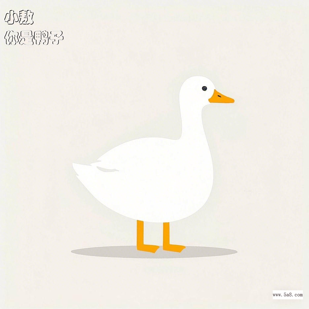 你是鸭子小敖搞笑图片