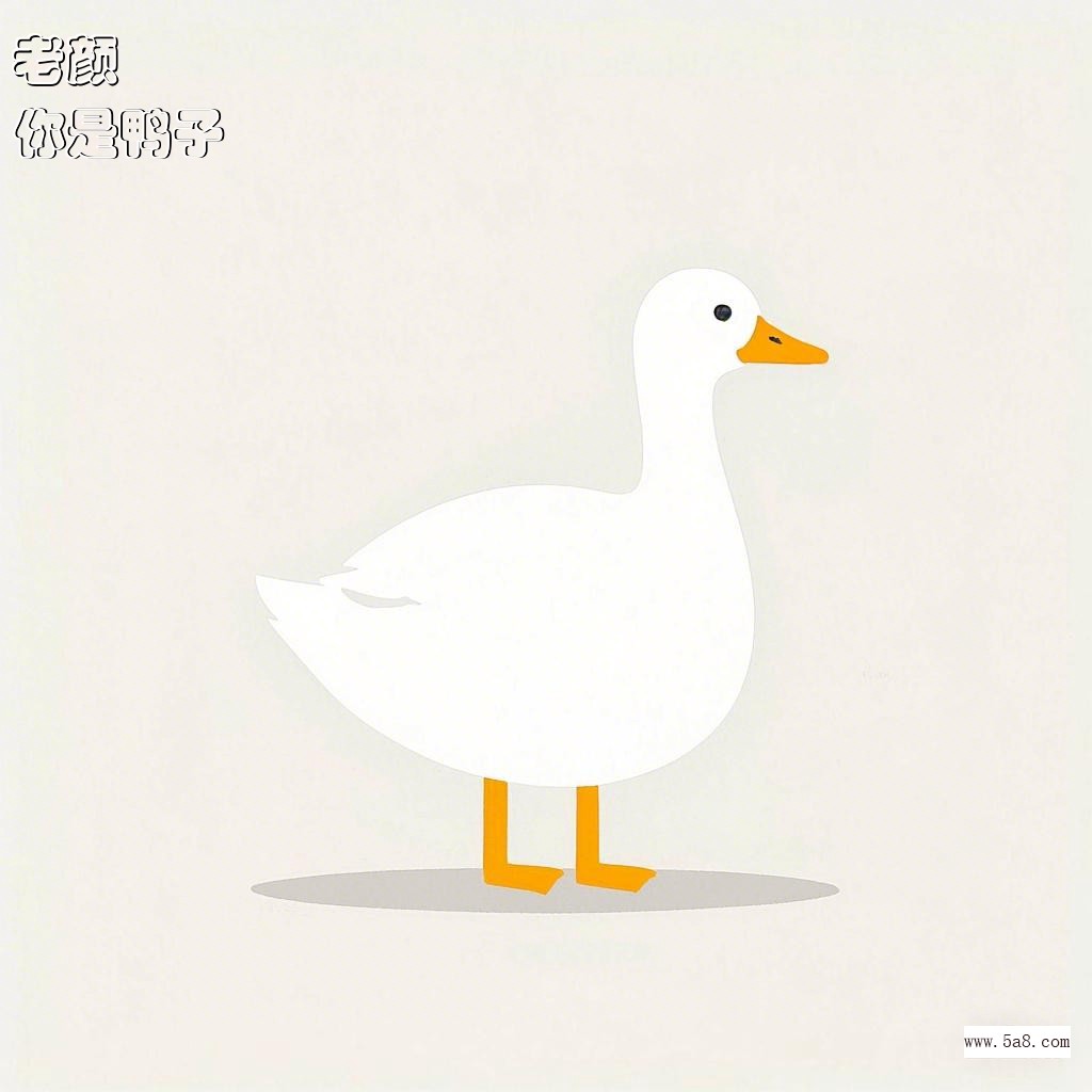 你是鸭子老颜搞笑图片