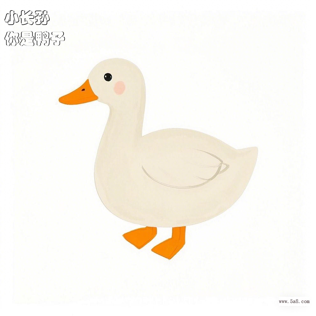 你是鸭子小长孙搞笑图片