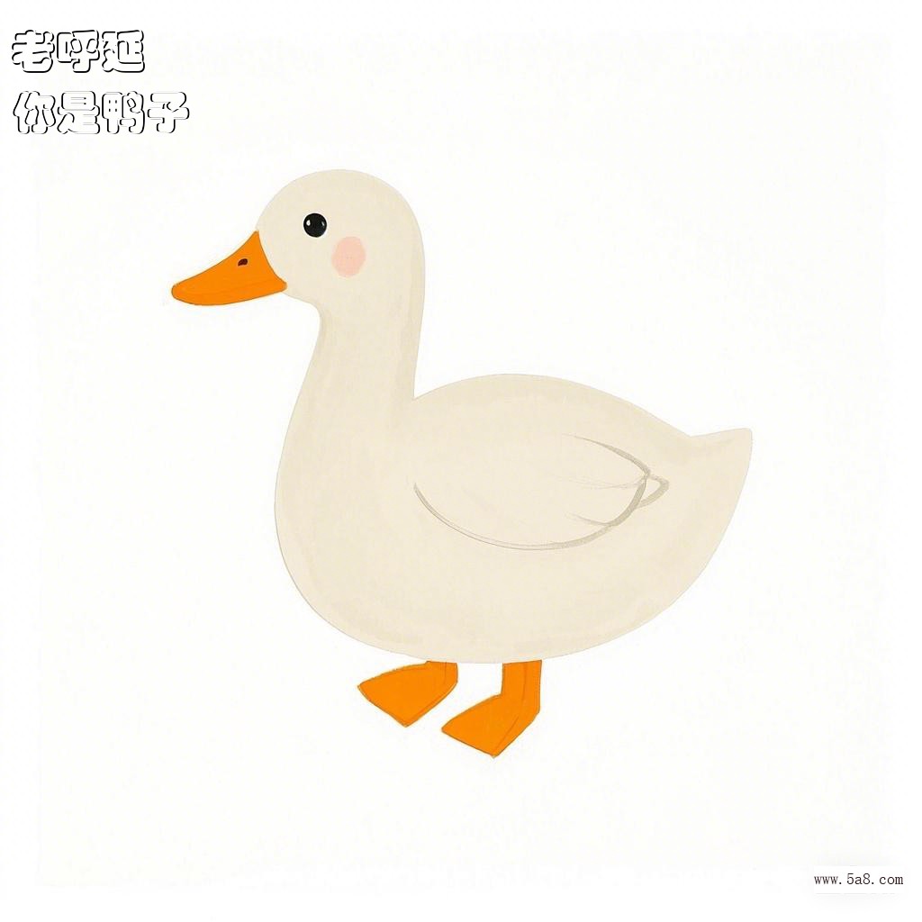 你是鸭子老呼延搞笑图片