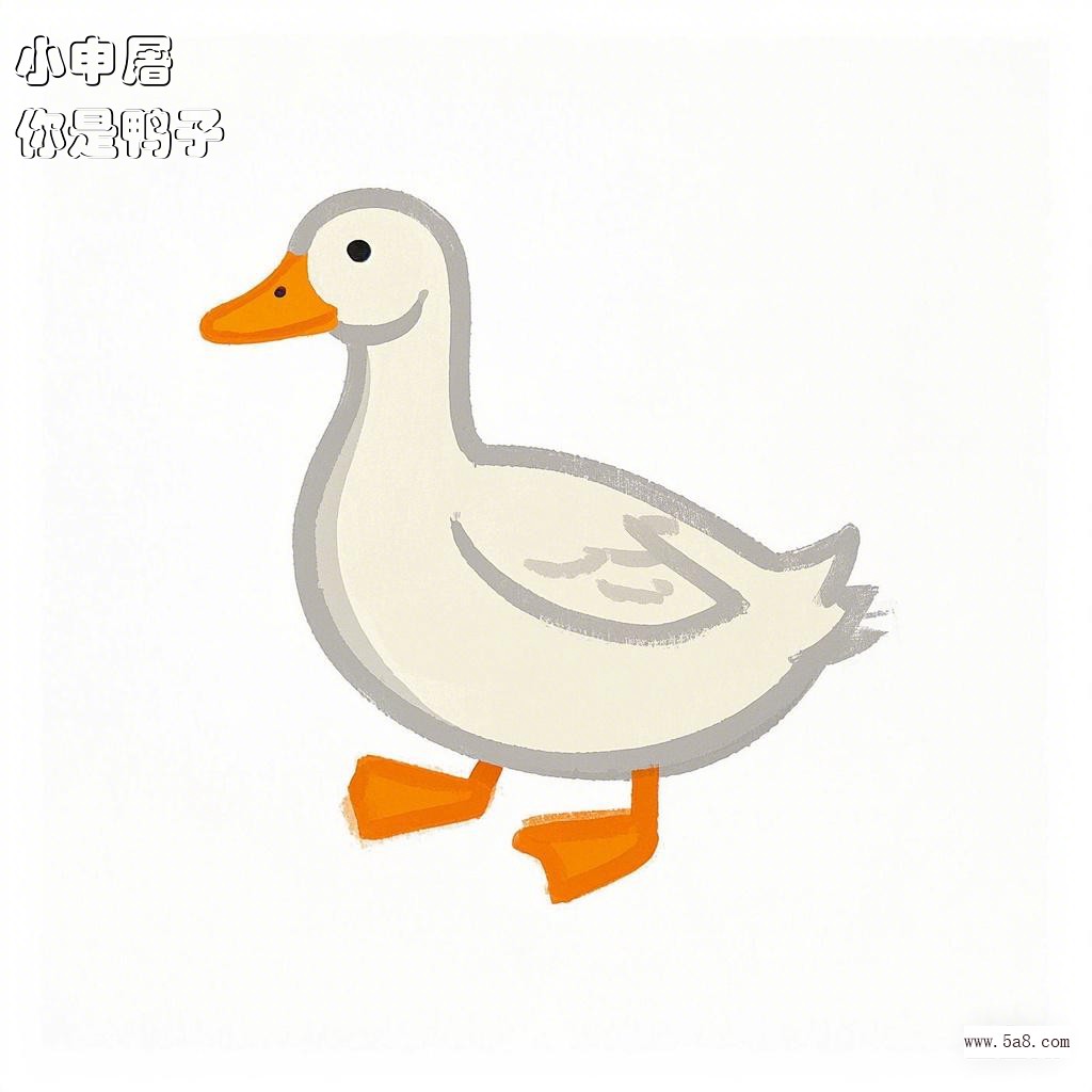 你是鸭子小申屠搞笑图片