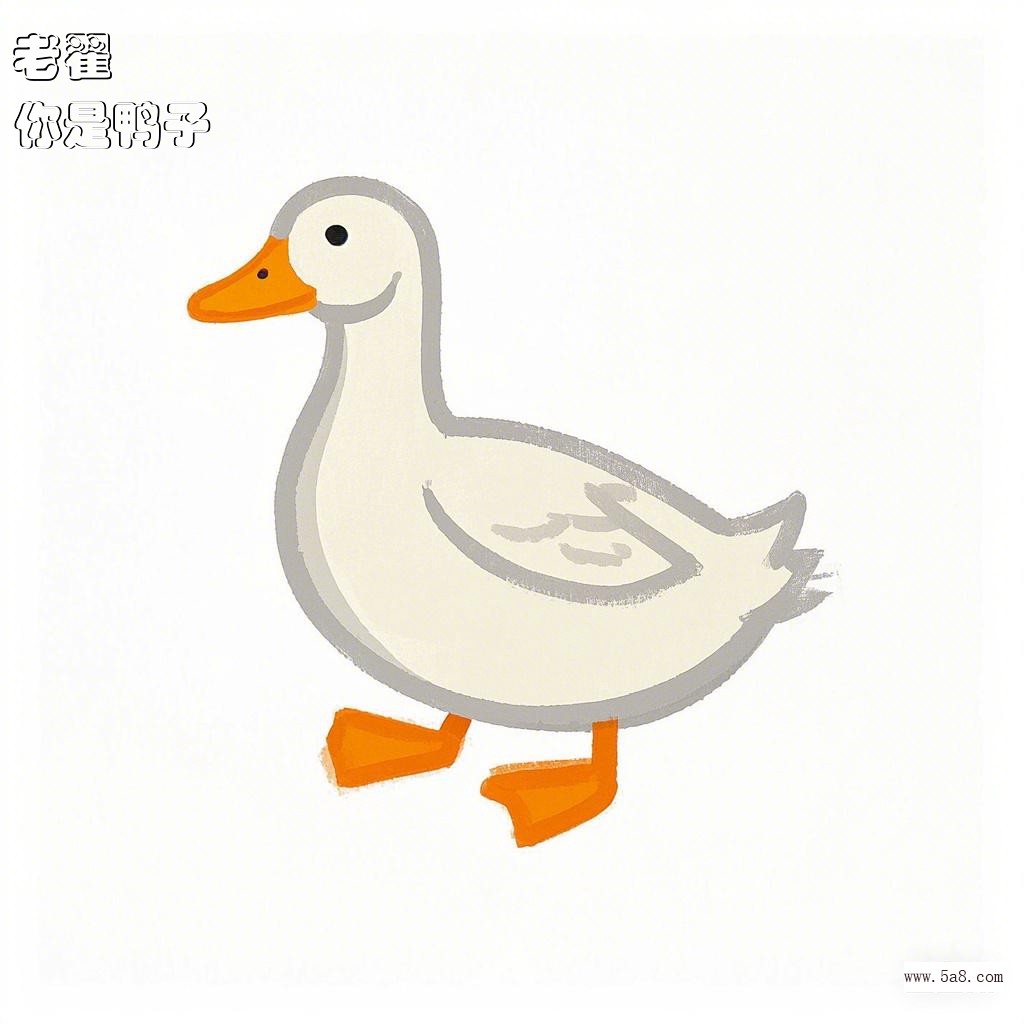 你是鸭子老翟搞笑图片