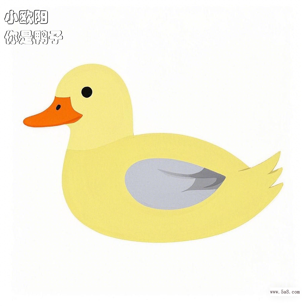 你是鸭子小欧阳搞笑图片