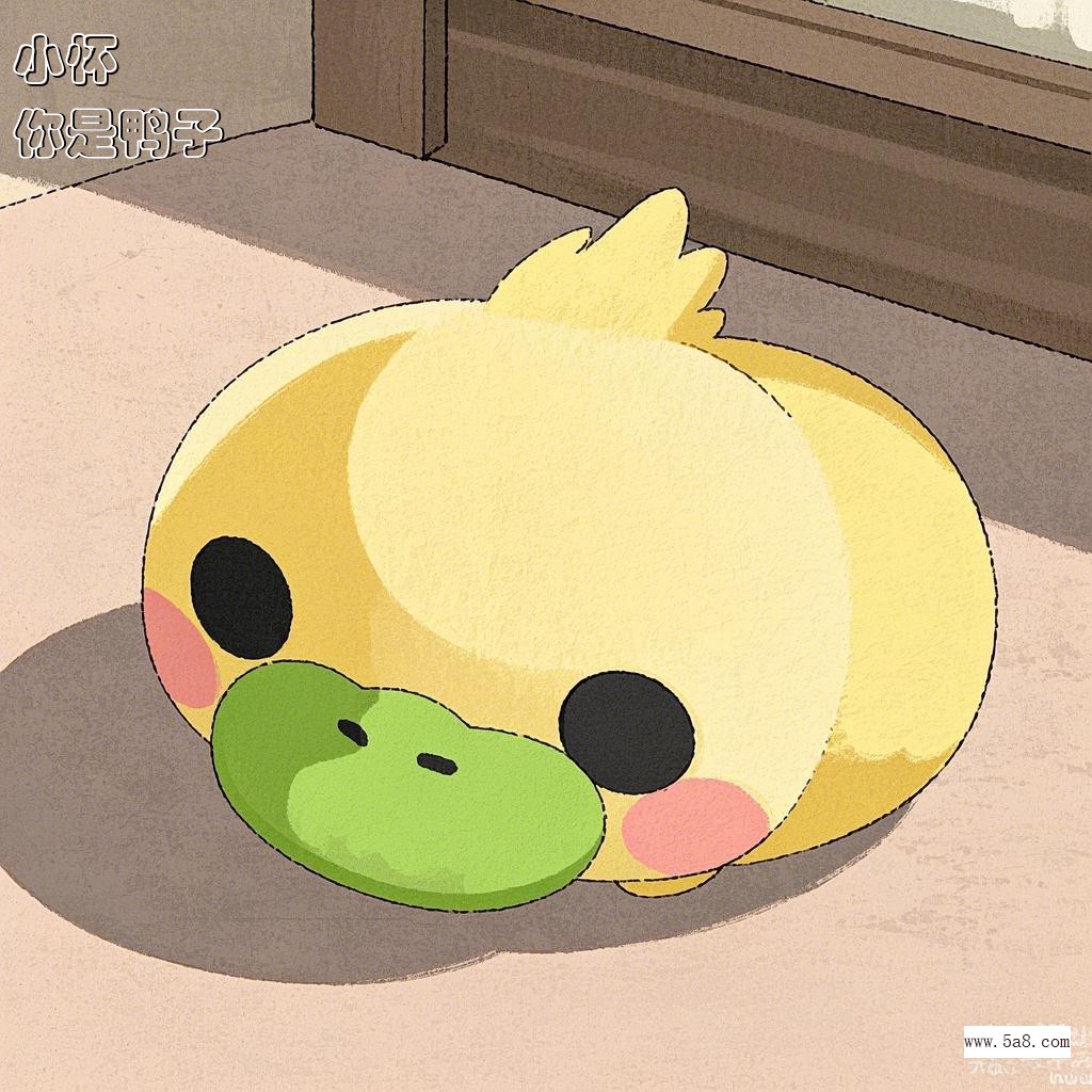 你是鸭子小怀搞笑图片