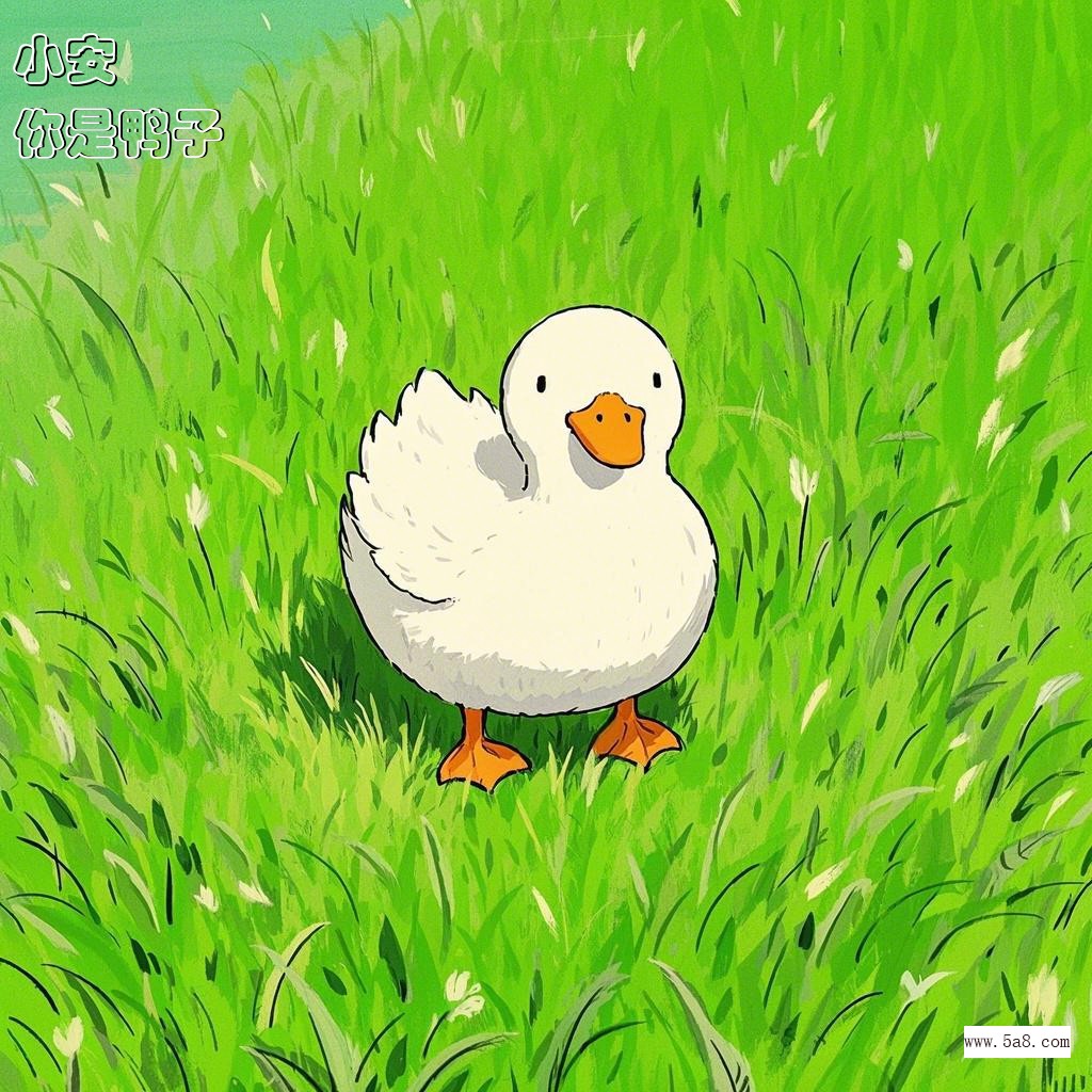 你是鸭子小安搞笑图片