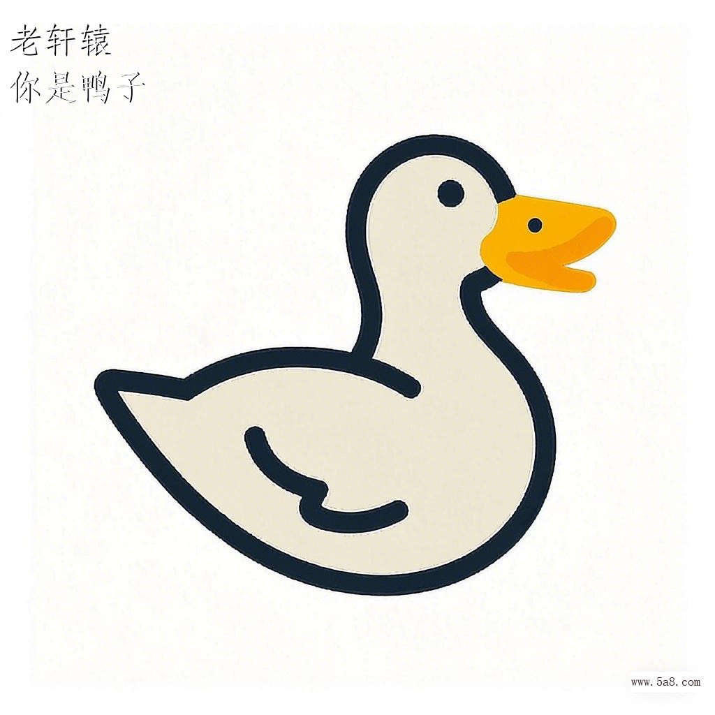 你是鸭子老轩辕搞笑图片