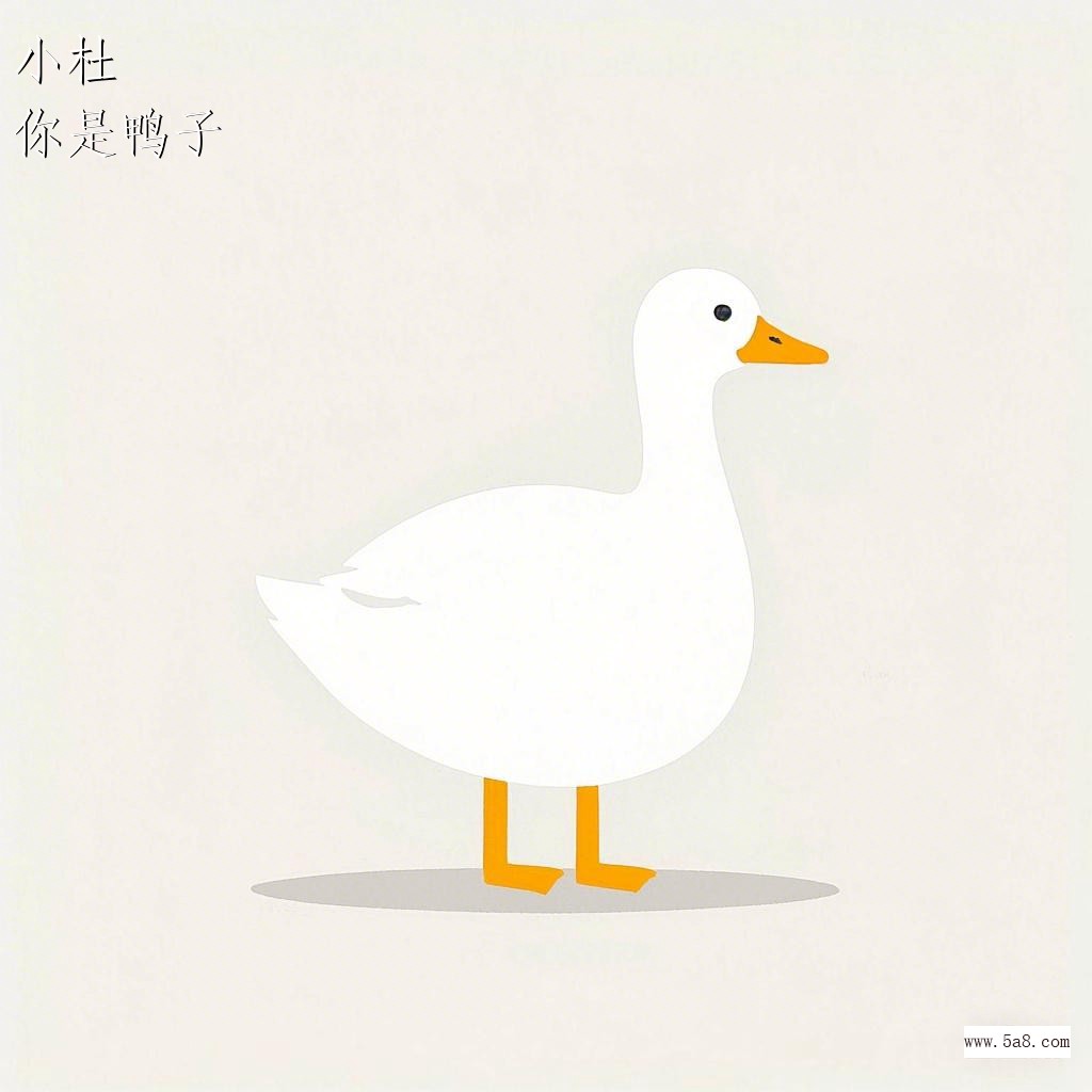 你是鸭子小杜搞笑图片