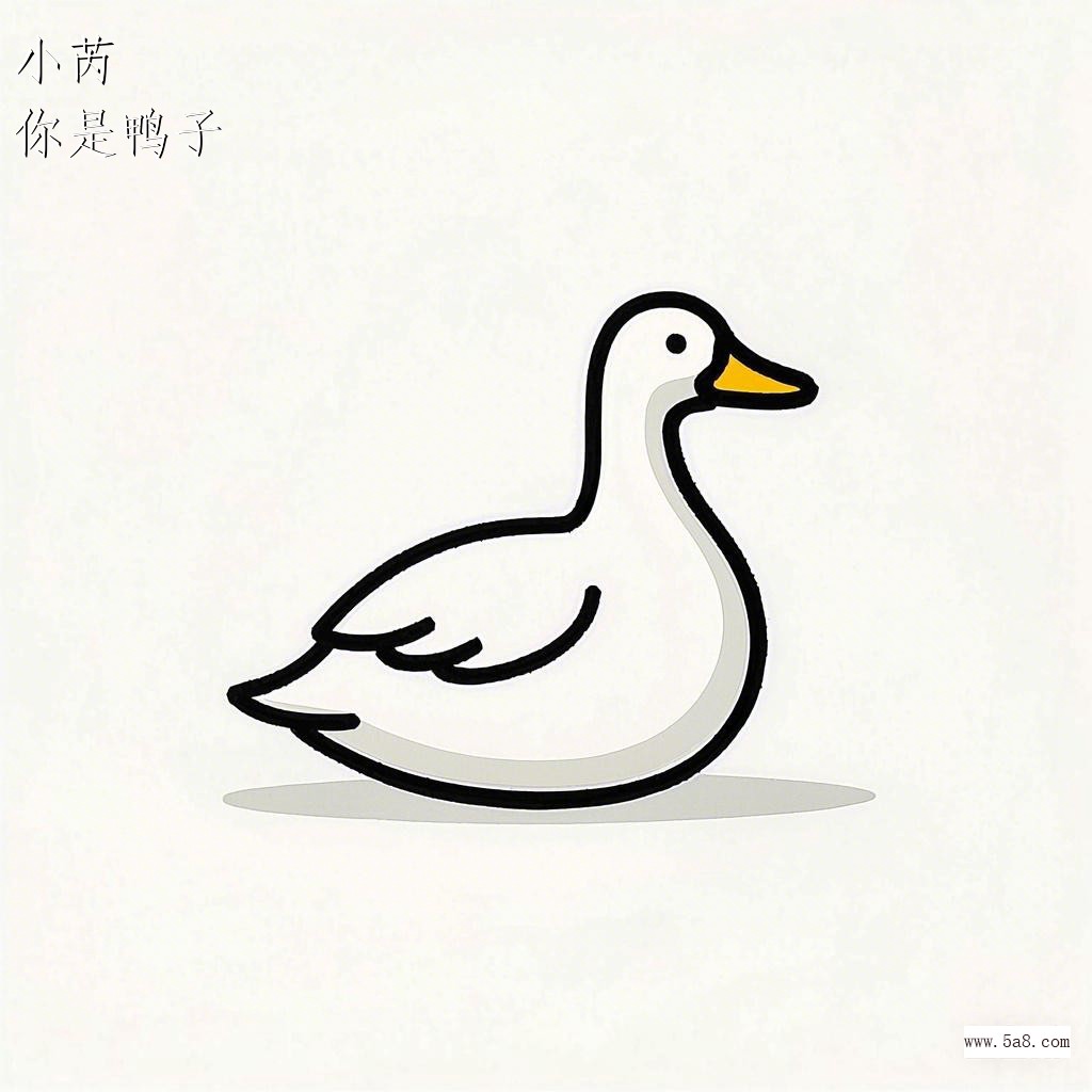 你是鸭子小芮搞笑图片