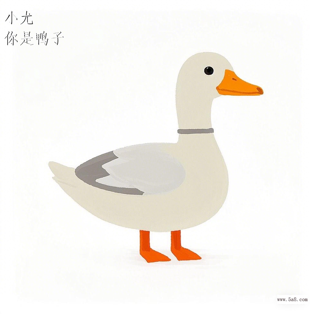 你是鸭子小尤搞笑图片