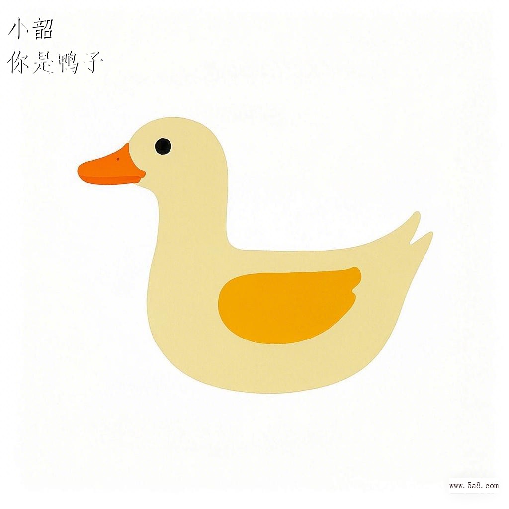 你是鸭子小韶搞笑图片