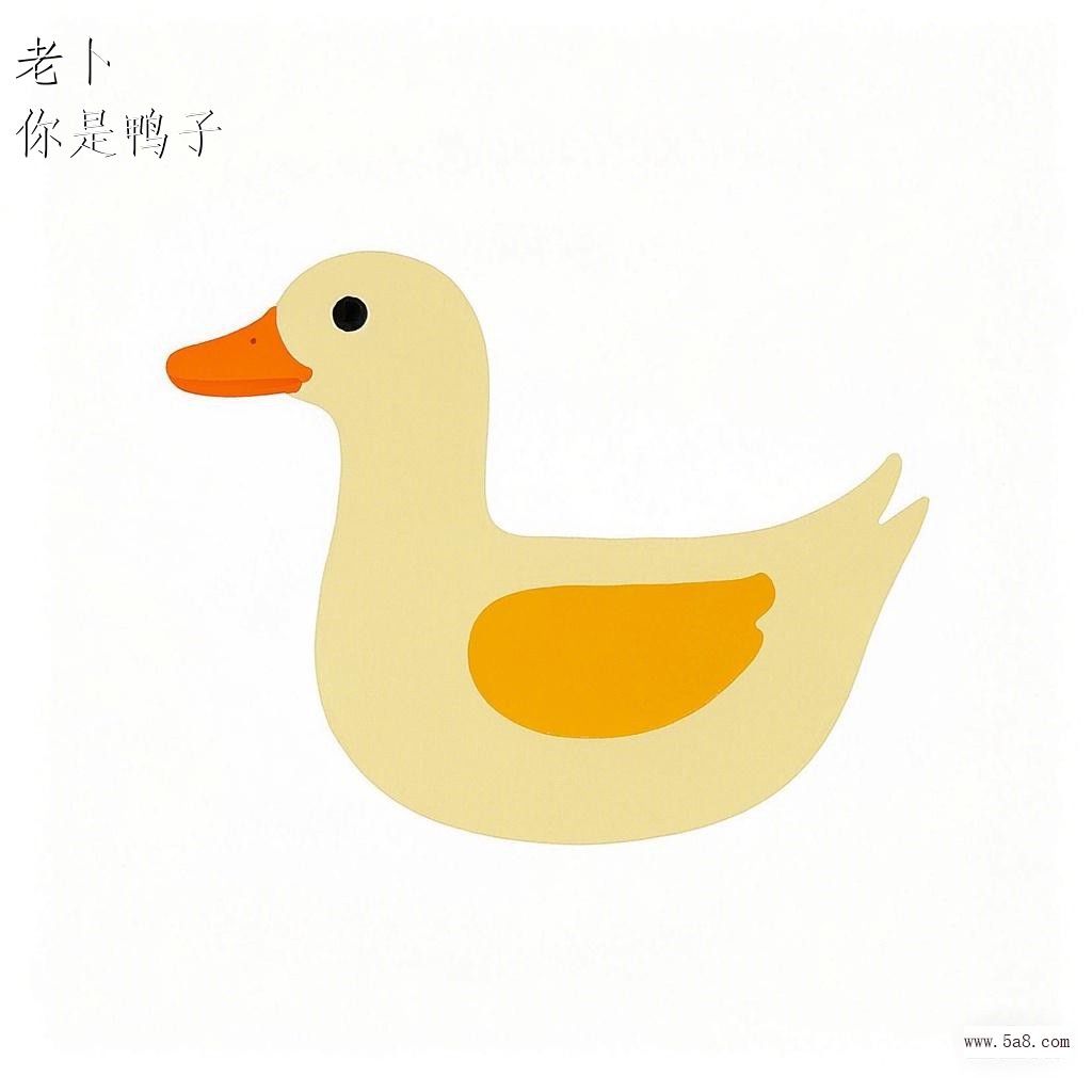 你是鸭子老卜搞笑图片