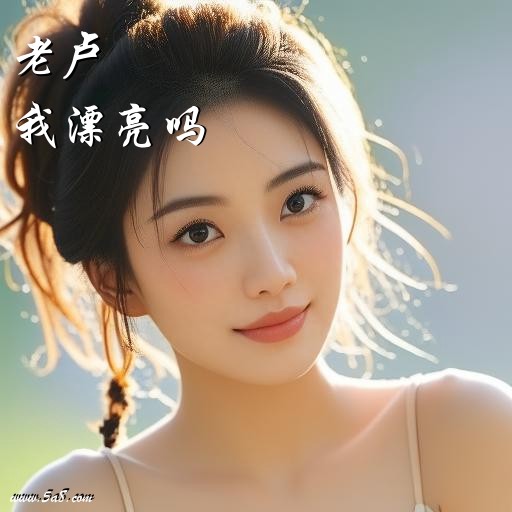 我漂亮吗老卢搞笑图片