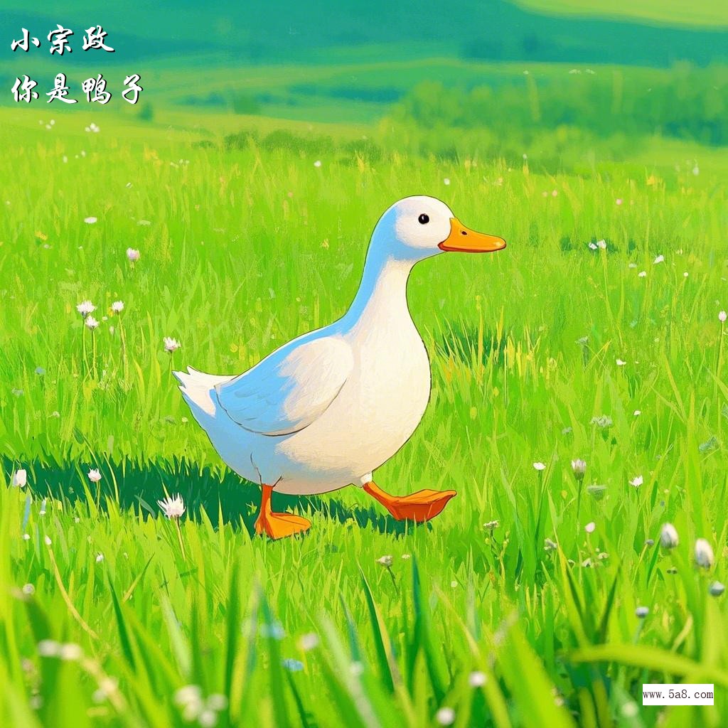 你是鸭子小宗政搞笑图片