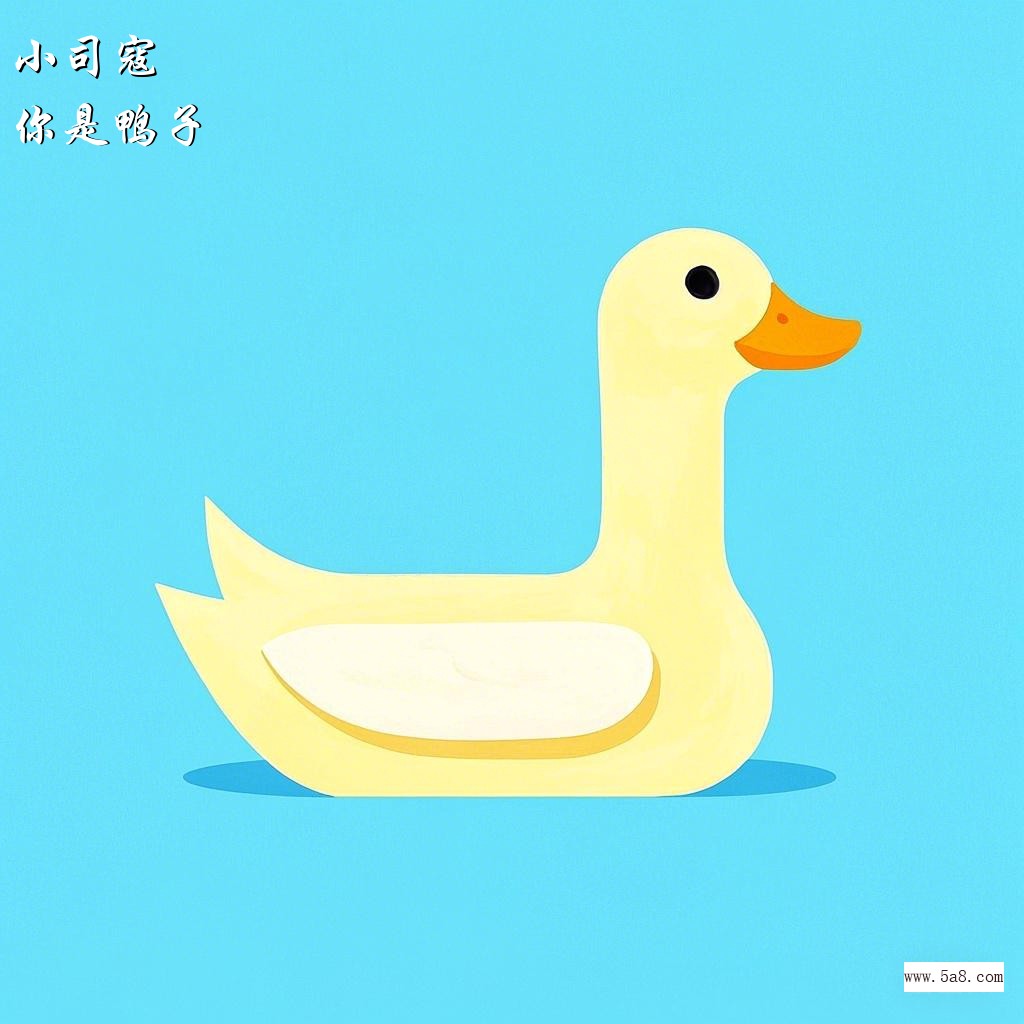 你是鸭子小司寇搞笑图片