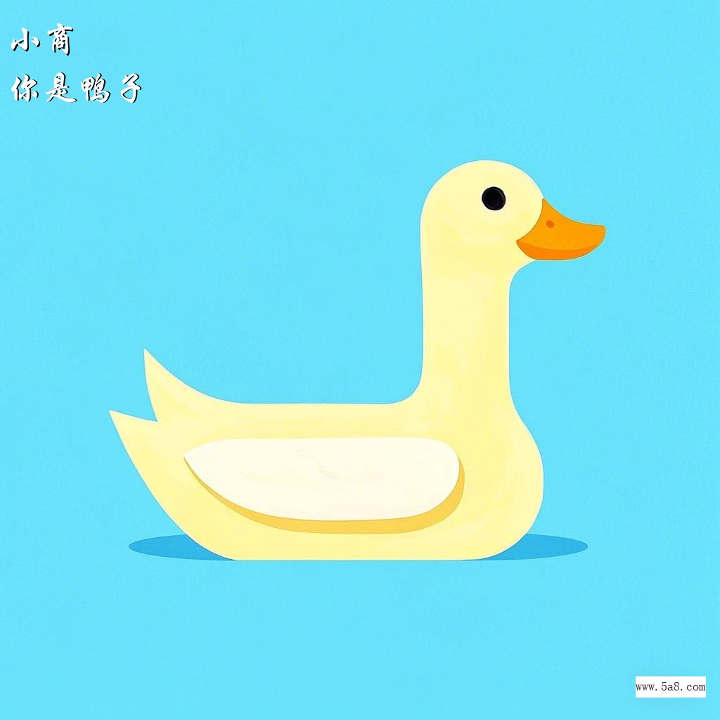 你是鸭子小商搞笑图片